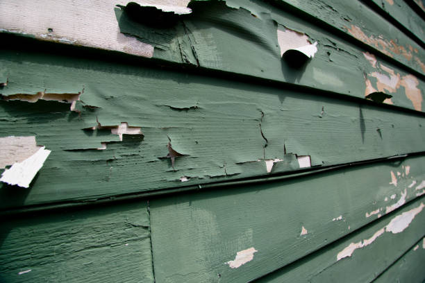 Best Shed Removal  in Canton, MO